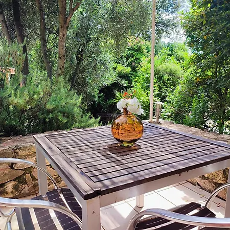 Gites De Charme Au Coeur D'Un Village Authentique - A 22 Kms De L'Aeroport D'Ajaccio Et Des Plages - Clim - Jacuzzi - Billard - Randonnee - Riviere - Detente Peri Kamer foto