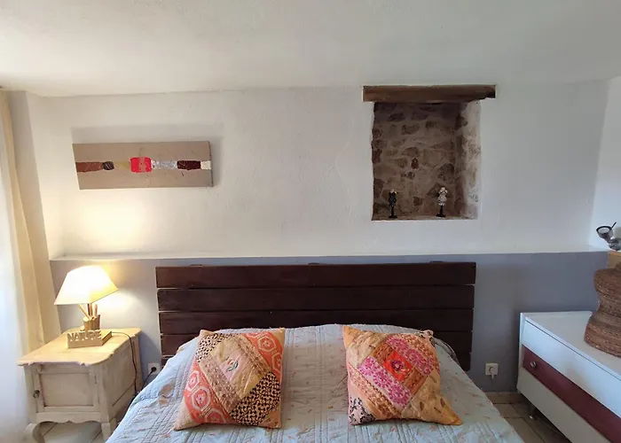Gites De Charme Au Coeur D\'Un Village Authentique - A 22 Kms De L\'Aeroport D\'Ajaccio Et Des Plages - Clim - Jacuzzi - Billard - Randonnee - Riviere - Detente