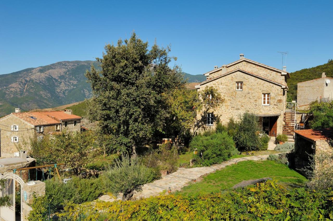 Apartment De Charme Au Coeur D'un Village Authentique - A 22 Kms De L'aeroport D'ajaccio Et Des Plages - Clim - Jacuzzi - Billard - Randonnee - Riviere - Detente
