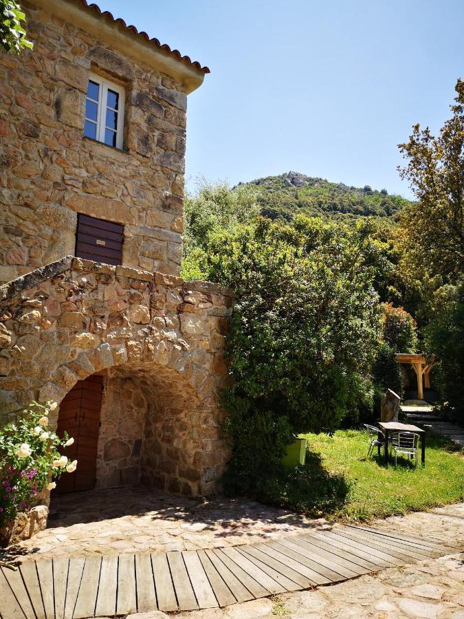 De Charme Au Coeur D'un Village Authentique - A 22 Kms De L'aeroport D'ajaccio Et Des Plages - Clim - Jacuzzi - Billard - Randonnee - Riviere - Detente *
