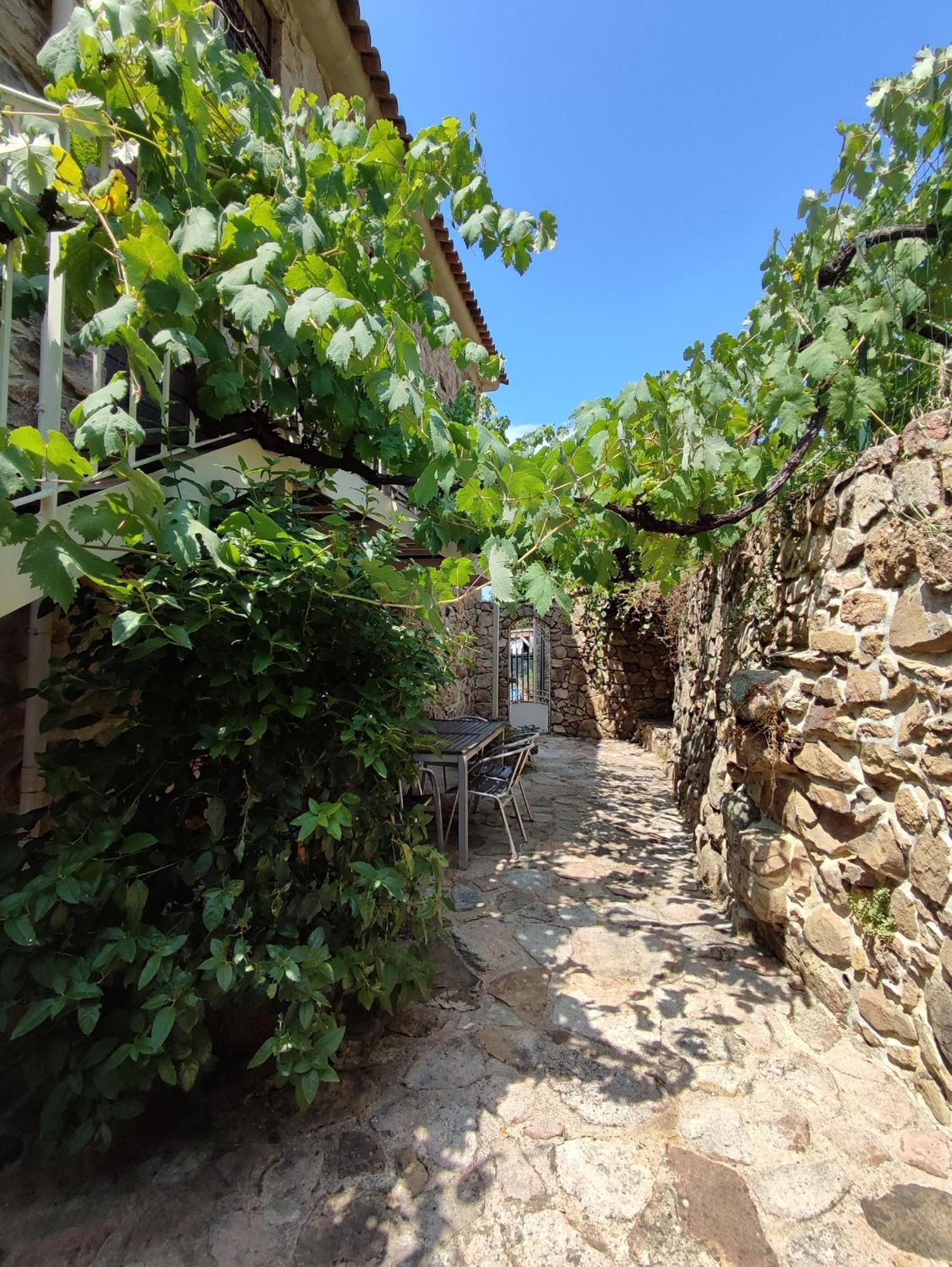 De Charme Au Coeur D'un Village Authentique - A 22 Kms De L'aeroport D'ajaccio Et Des Plages - Clim - Jacuzzi - Billard - Randonnee - Riviere - Detente Apartment